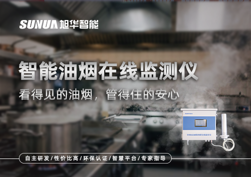 智能油烟在线监测仪：看得见的油烟，管得住的安心